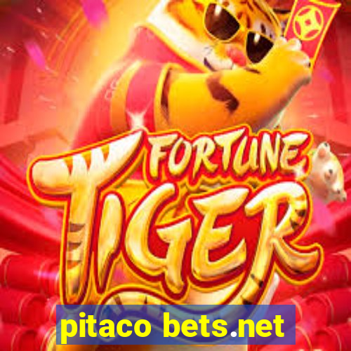 pitaco bets.net